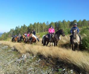 Western paardrijden in de Ardennen
