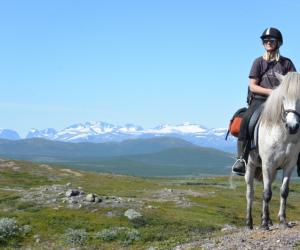 Mountaintrail: Paardrijden door ongerept Noord-Zweden