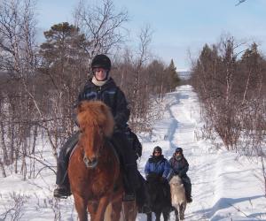 Winteravontuur te paard in Lapland